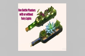 Plant Nite: Succulents in Wine Bottle Planter